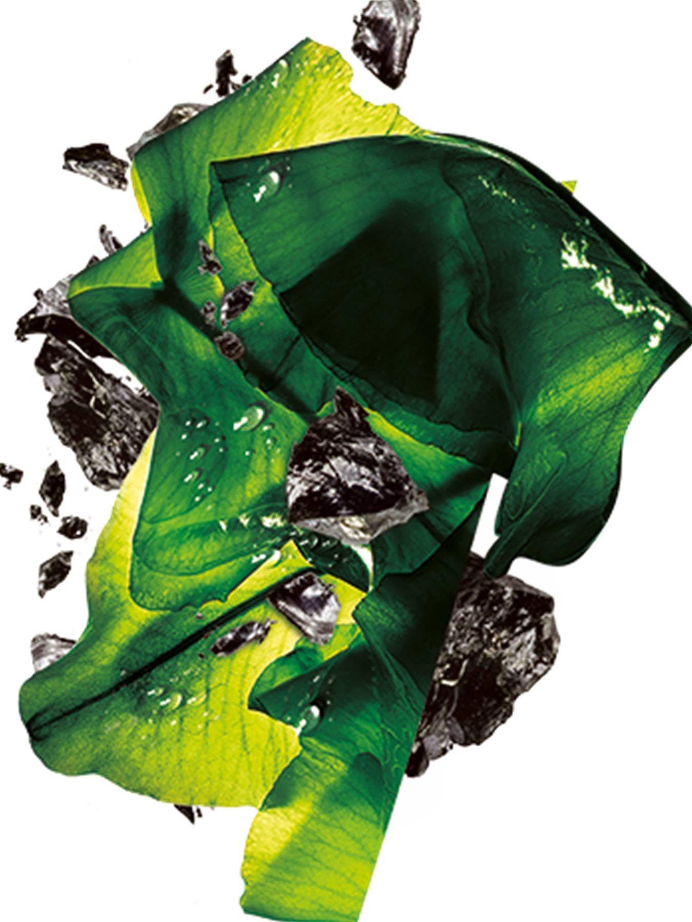 Glistening algae and chunks of charcoal overlapping on a white background.